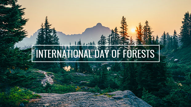 International Day of Forests 2019